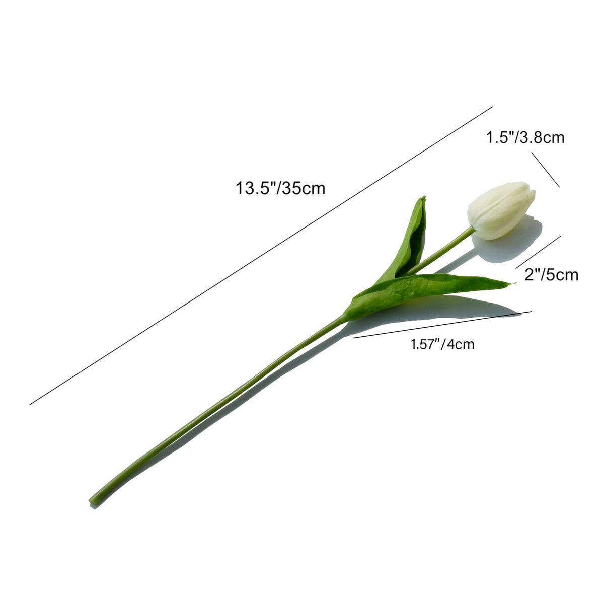 Mandy's 13.5-inch tulips ideal for vase-ready centerpieces.