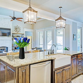 Natural gradients in Mandy's tulips offer decor versatility