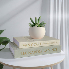 MAOBUYOU desktop display on a bookshelf or coffee table