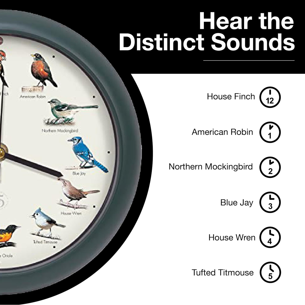 Mark Feldstein 25th anniversary field guide inside for bird lovers