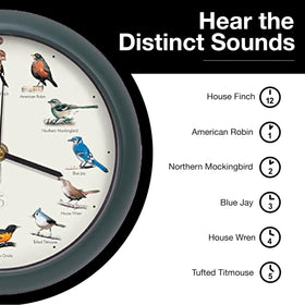 Mark Feldstein 25th anniversary field guide inside for bird lovers