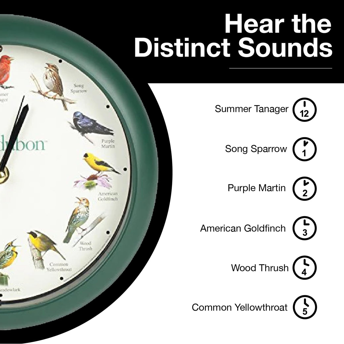Illustration of 12 bird songs chiming at the top of the hour.