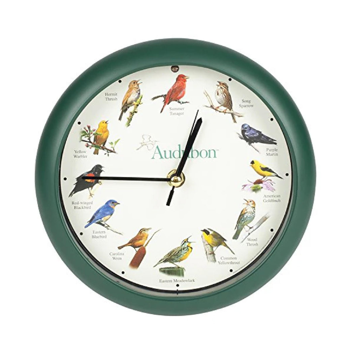 Mark Feldstein Audubon clock face in green with bird artwork, ideal for nature-inspired decor.