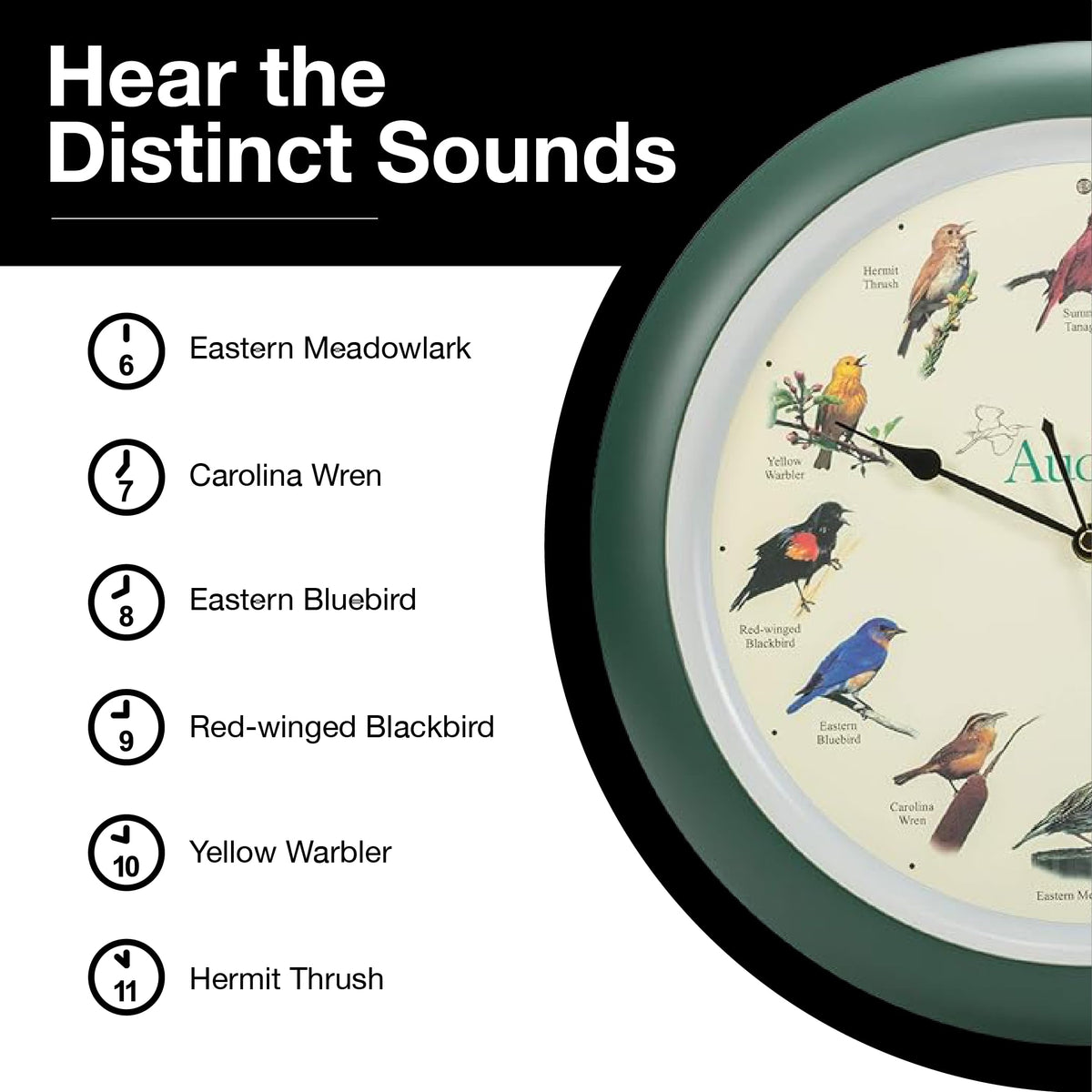 Mark Feldstein Audubon singing bird wall clock 13 inch face bold wall presence