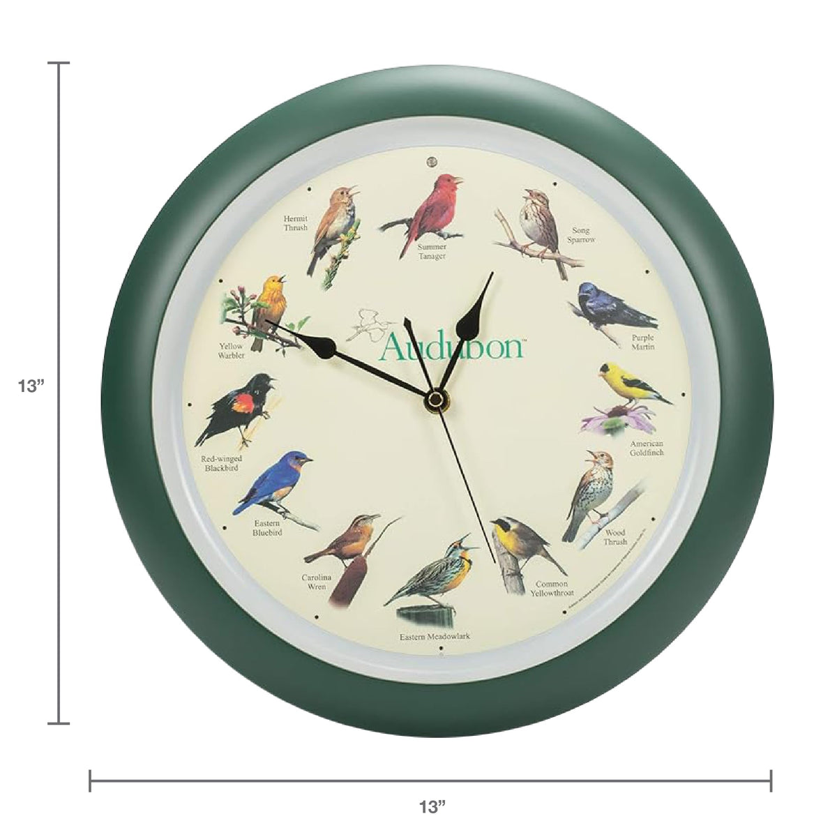 Mark Feldstein Audubon singing bird wall clock closeup of birds calls detail