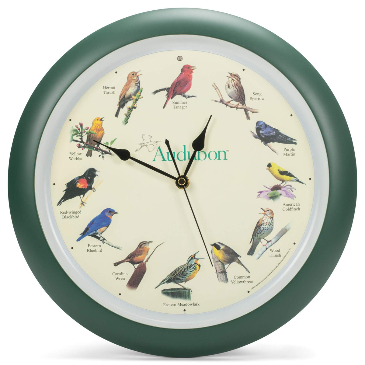 Mark Feldstein Audubon singing bird wall clock front view in green, stylish living room centerpiece