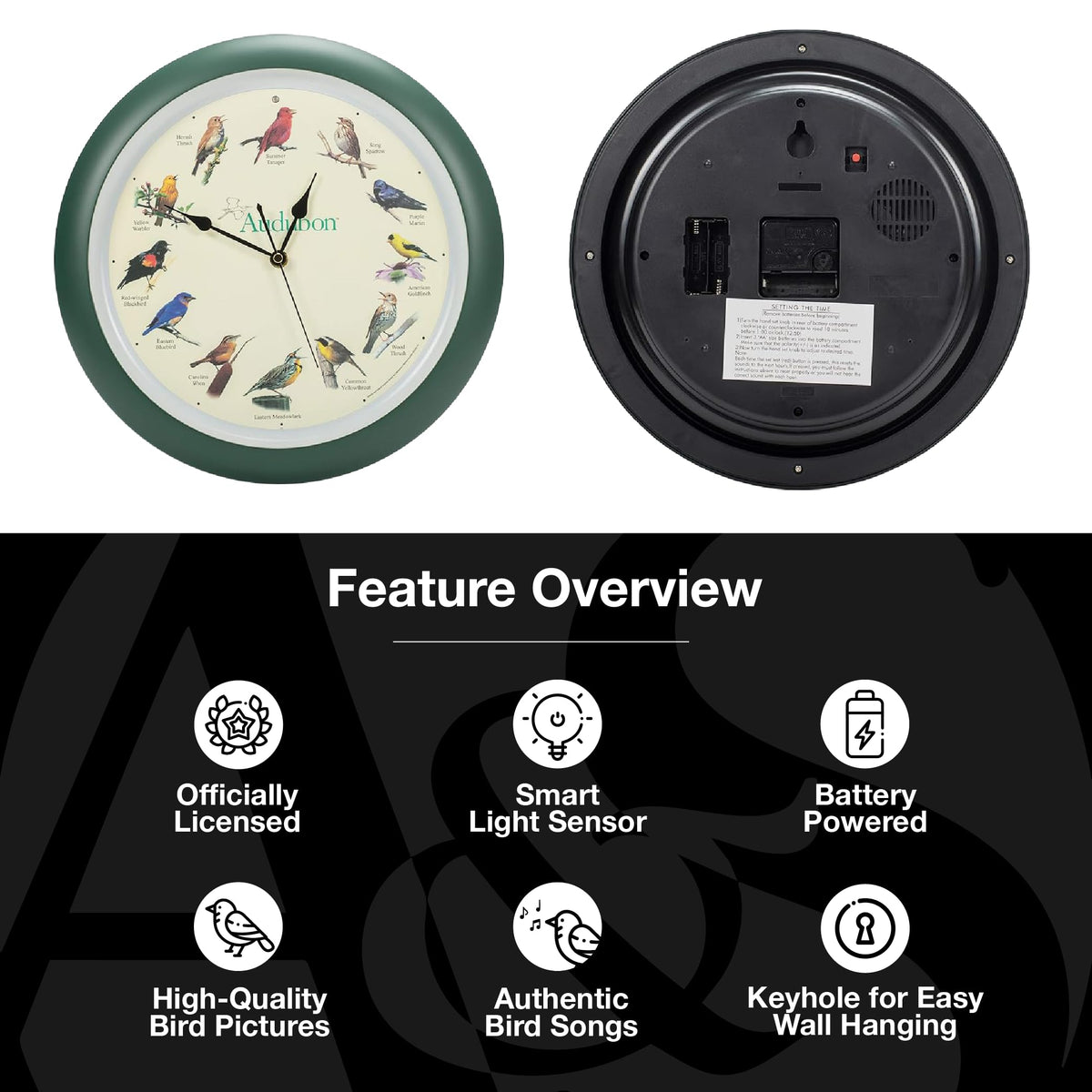 Mark Feldstein Audubon singing bird wall clock packaging display and protective box