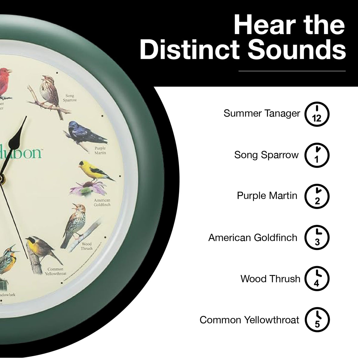 Mark Feldstein Audubon singing bird wall clock hanging slot for easy mounting