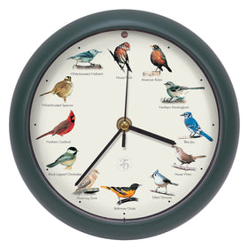 Mark Feldstein Bird Clock front view in green, space saving display