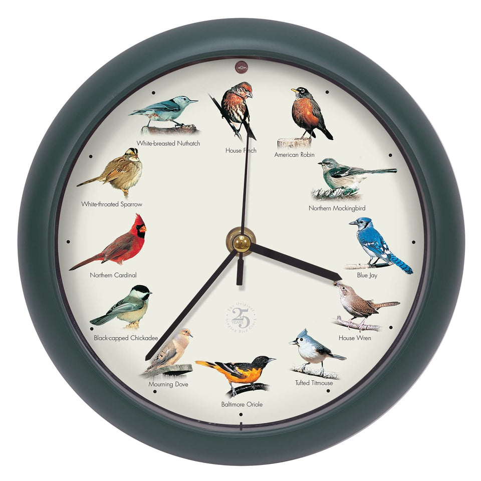 Mark Feldstein Bird Clock front view in green, space saving display