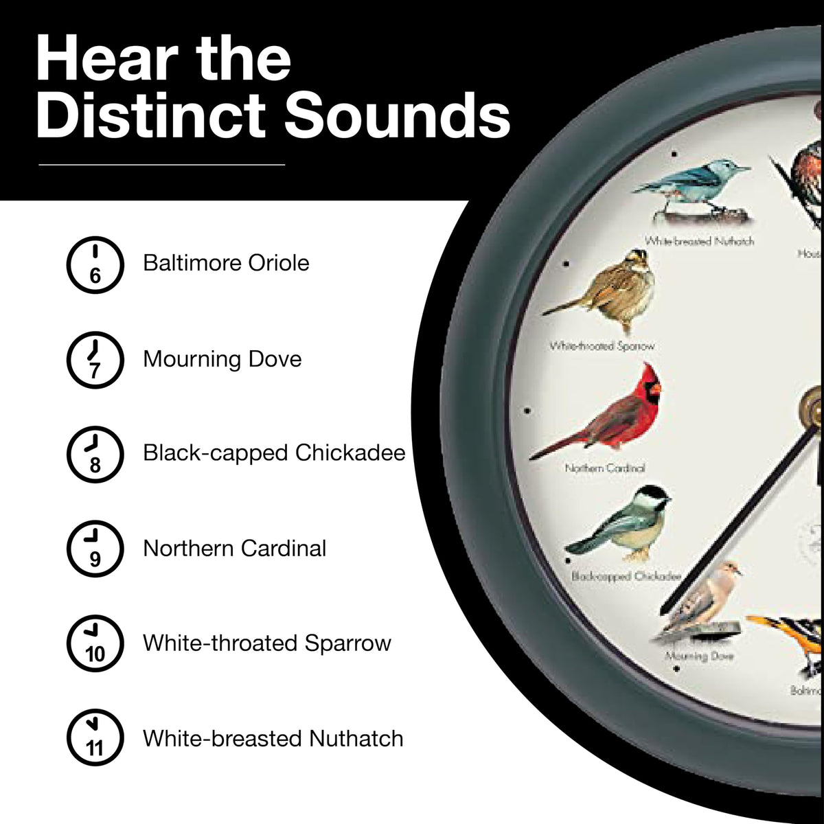 Mark Feldstein clock remastered bird songs provide hourly melodies