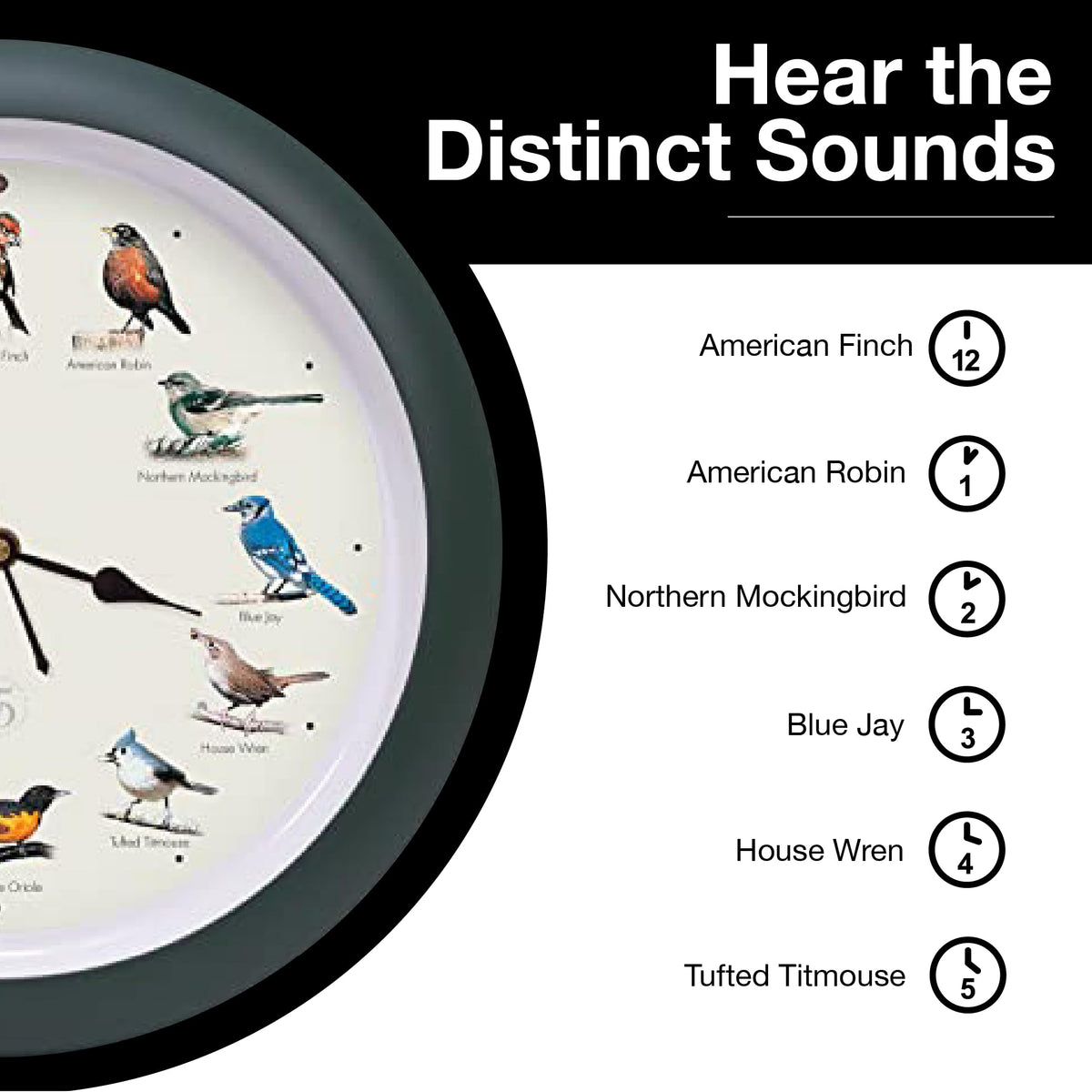 Mark Feldstein Field Guide adds educational bird facts for curious watchers