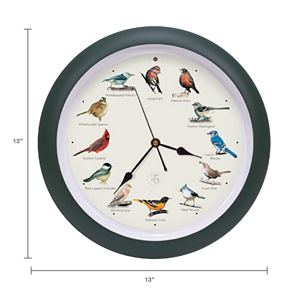 Mark Feldstein green matte frame clock mounted on wall adds elegance