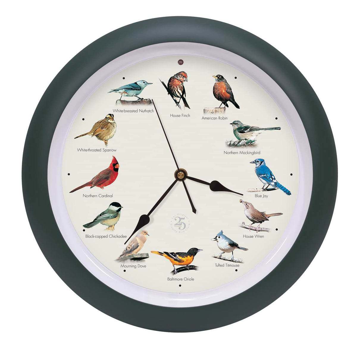 Mark Feldstein Original Singing Bird Clock 25th Anniversary artwork enhances decor