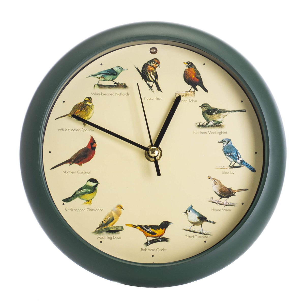 The clock delivers 12 real bird calls hourly paired with vivid bird imagery
