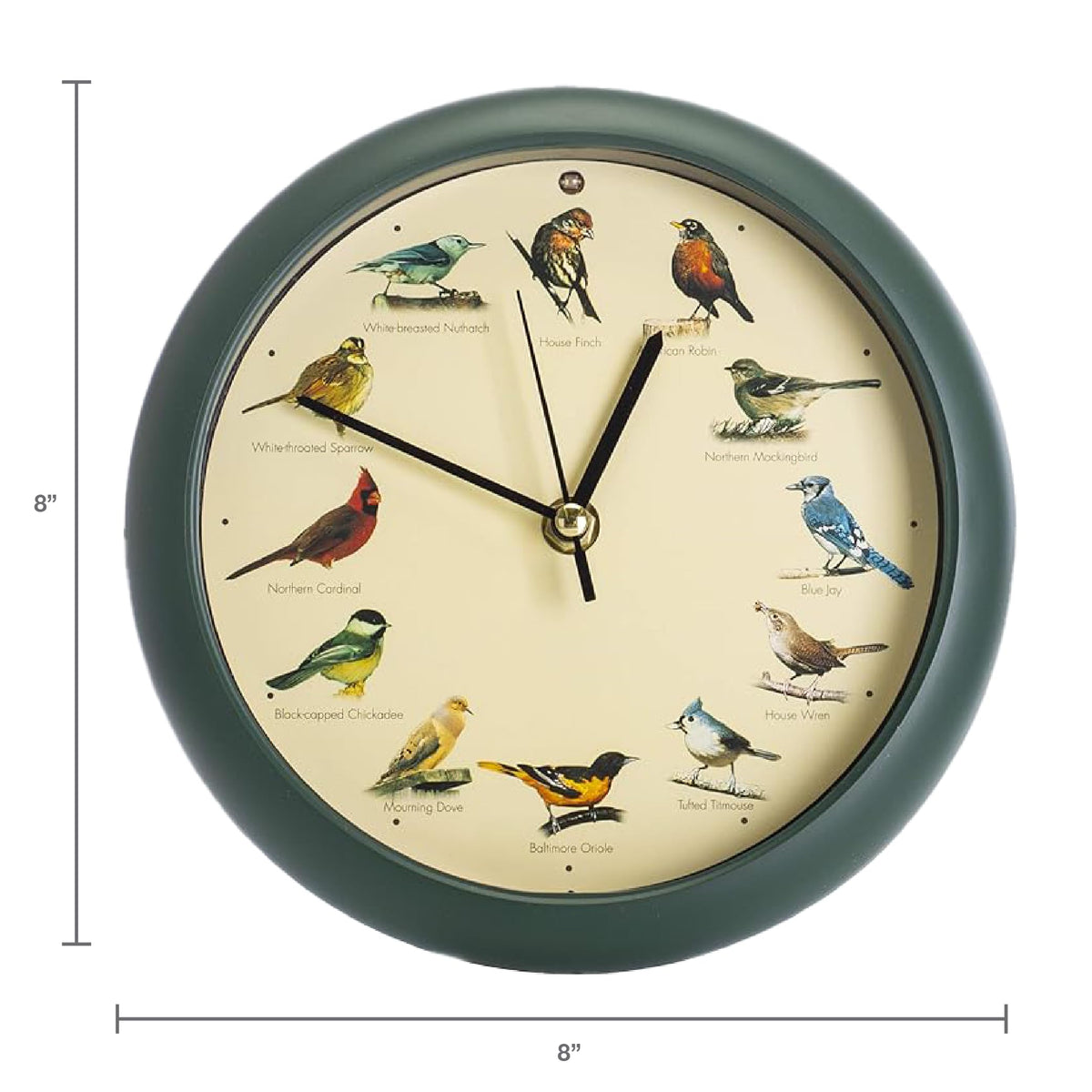 Mark Feldstein original singing bird clock 8-inch green built-in stand supports desk or shelf display