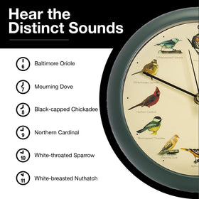 Mark Feldstein clock fits desks, shelves, and counters for natural ambience