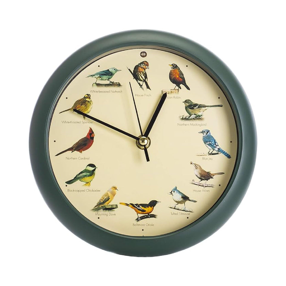 Mark Feldstein original singing bird clock 8-inch green wall display with authentic bird songs for natural ambience