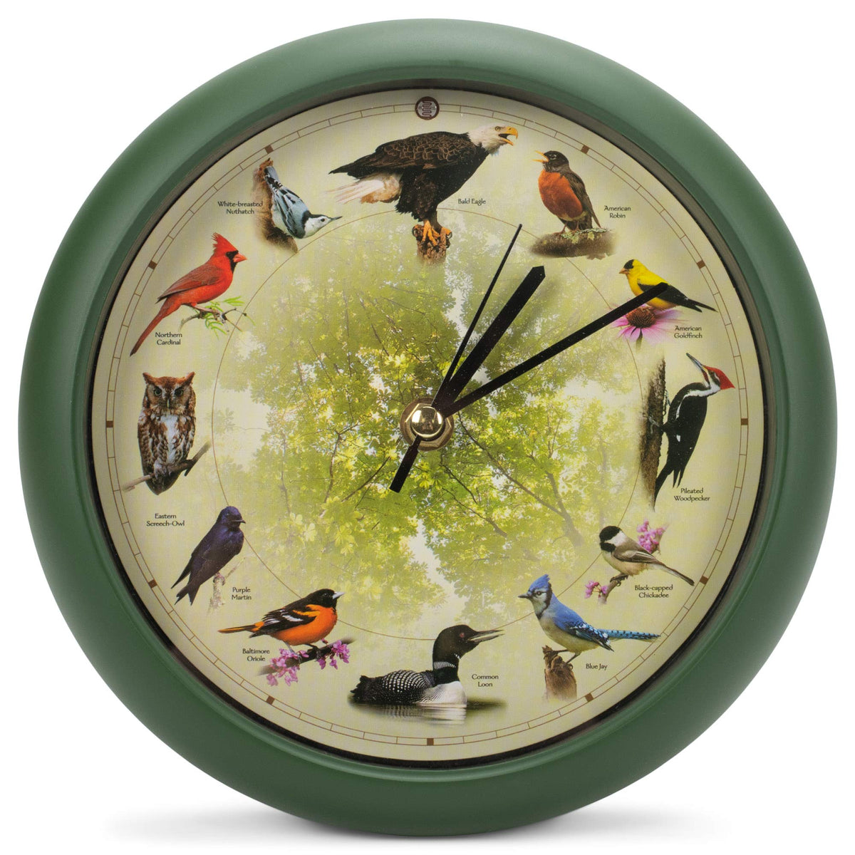 Mark Feldstein Singing Bird Clock face close-up showing the 8-inch dial