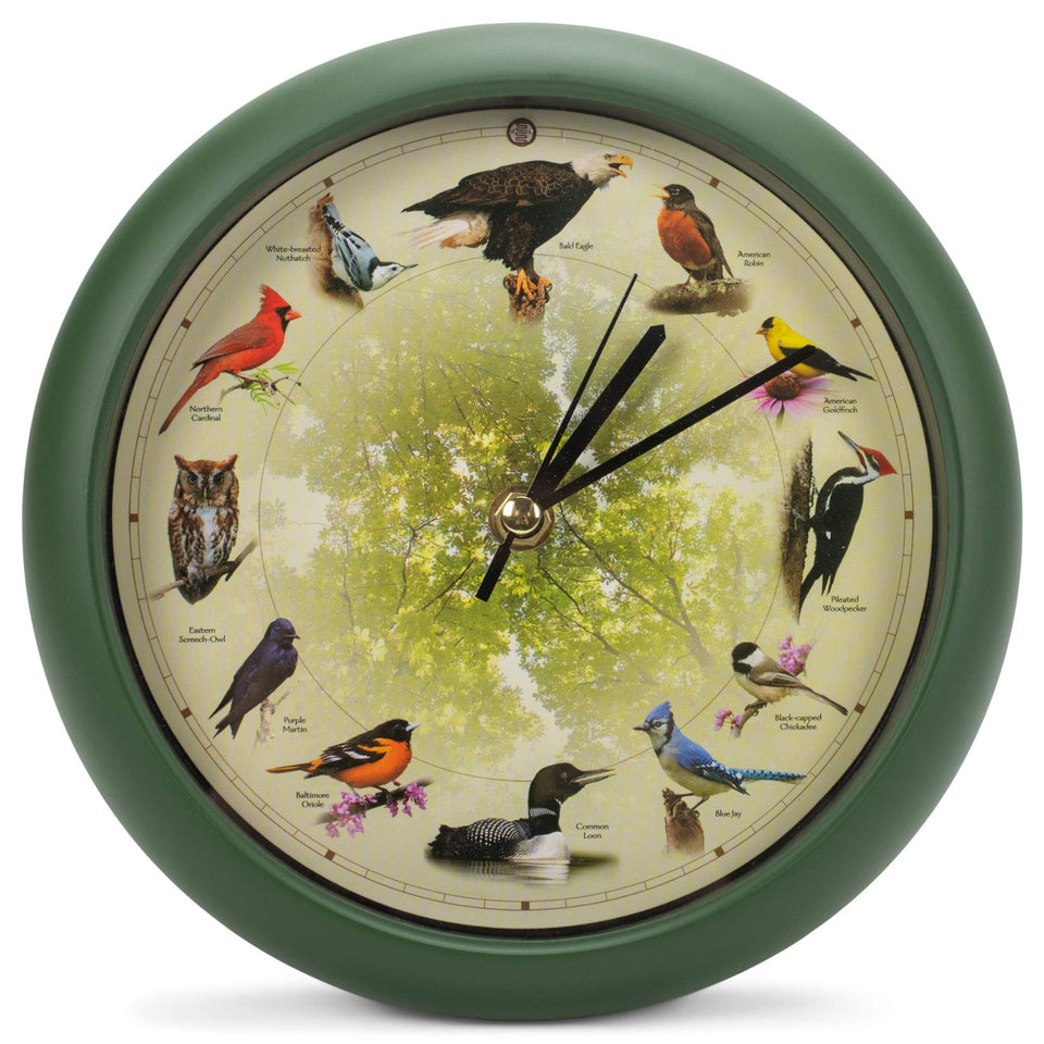 Mark Feldstein Singing Bird Clock face close-up showing the 8-inch dial