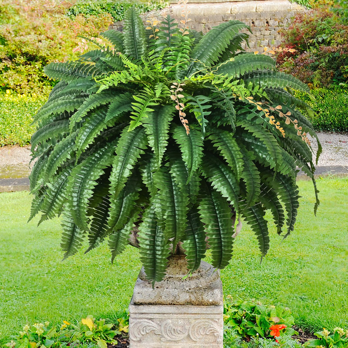 MARTINE MALL 128-leaves fern fills 12-16 inch pots beautifully