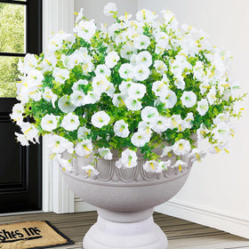 Martine Mall 24-bundles outdoor petunia white, UV resistant for lasting porch color.