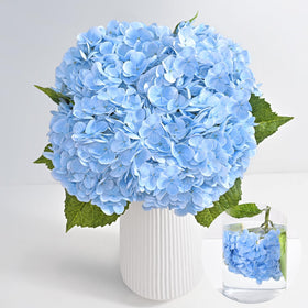 Martine Mall hydrangea assembly detail shows easy decor versatility.