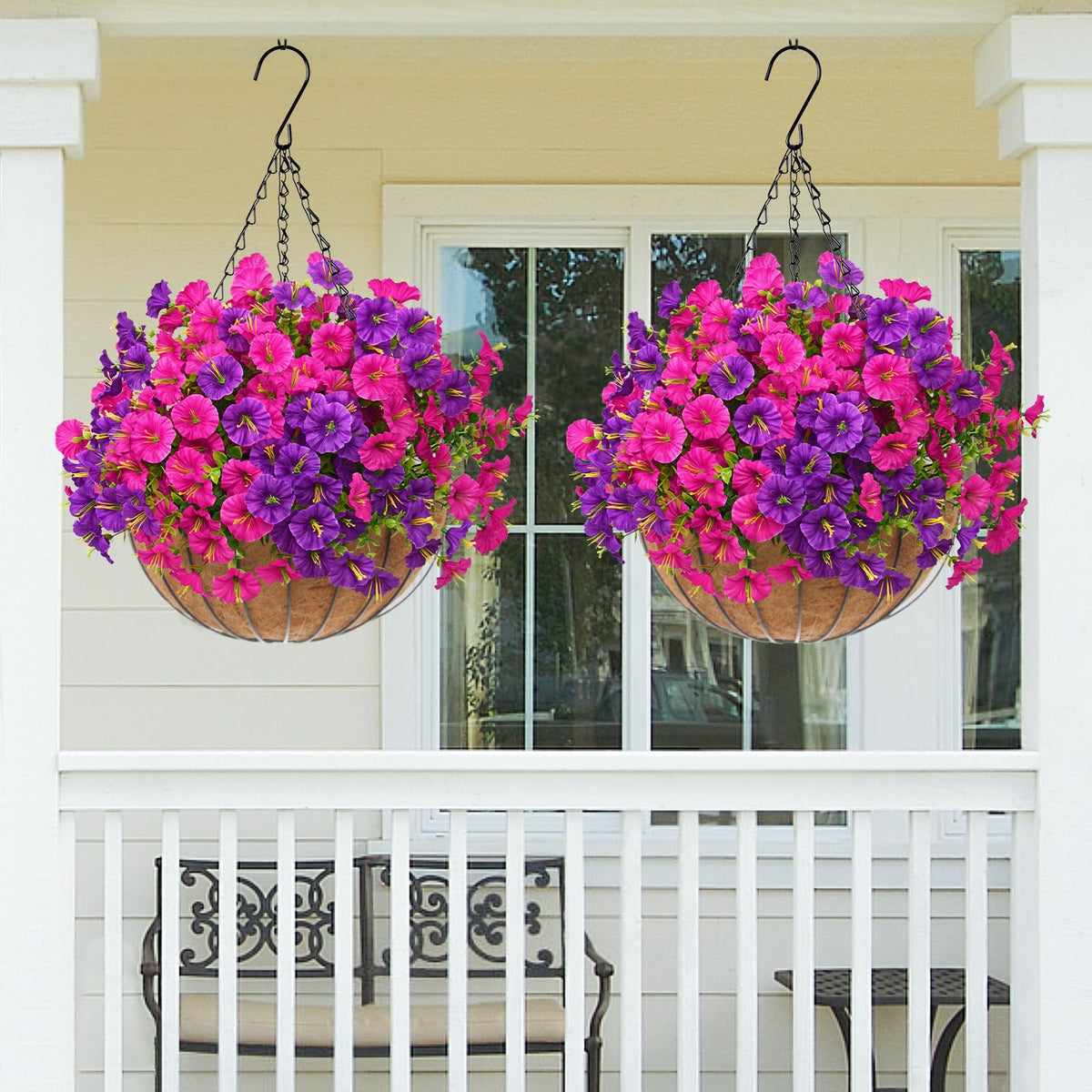 MARTINE MALL color-saturated petunia mix in purple and fuchsia for vibrant spring-summer vibes