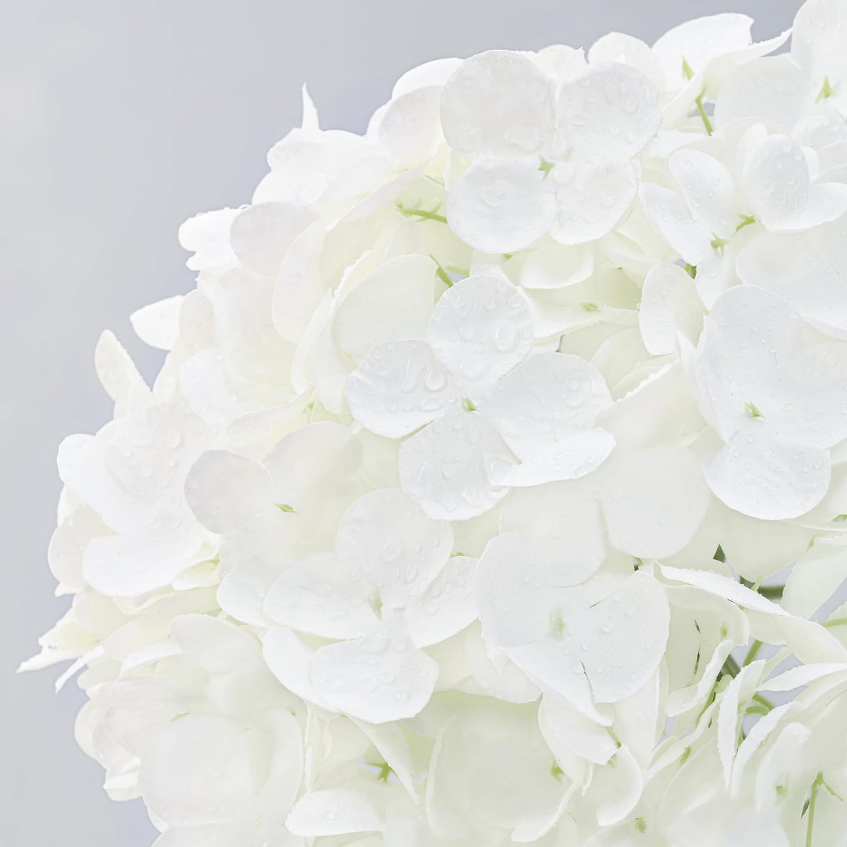 Martine Mall 21in stems offer flexible styling for vases and displays.
