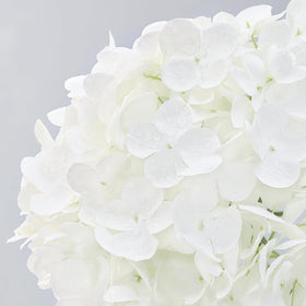 Martine Mall 21in stems offer flexible styling for vases and displays.