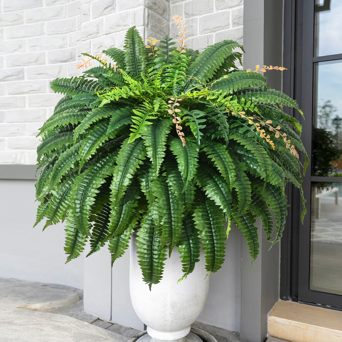 Martine Mall easy-maintenance fern requires no watering or pruning.