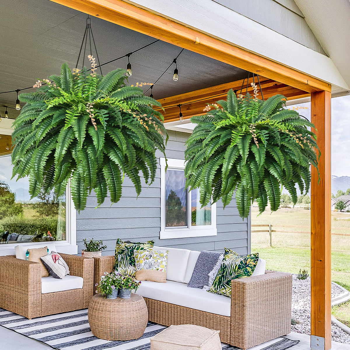 Martine Mall fern suited for pots or hanging baskets for flexible styling.
