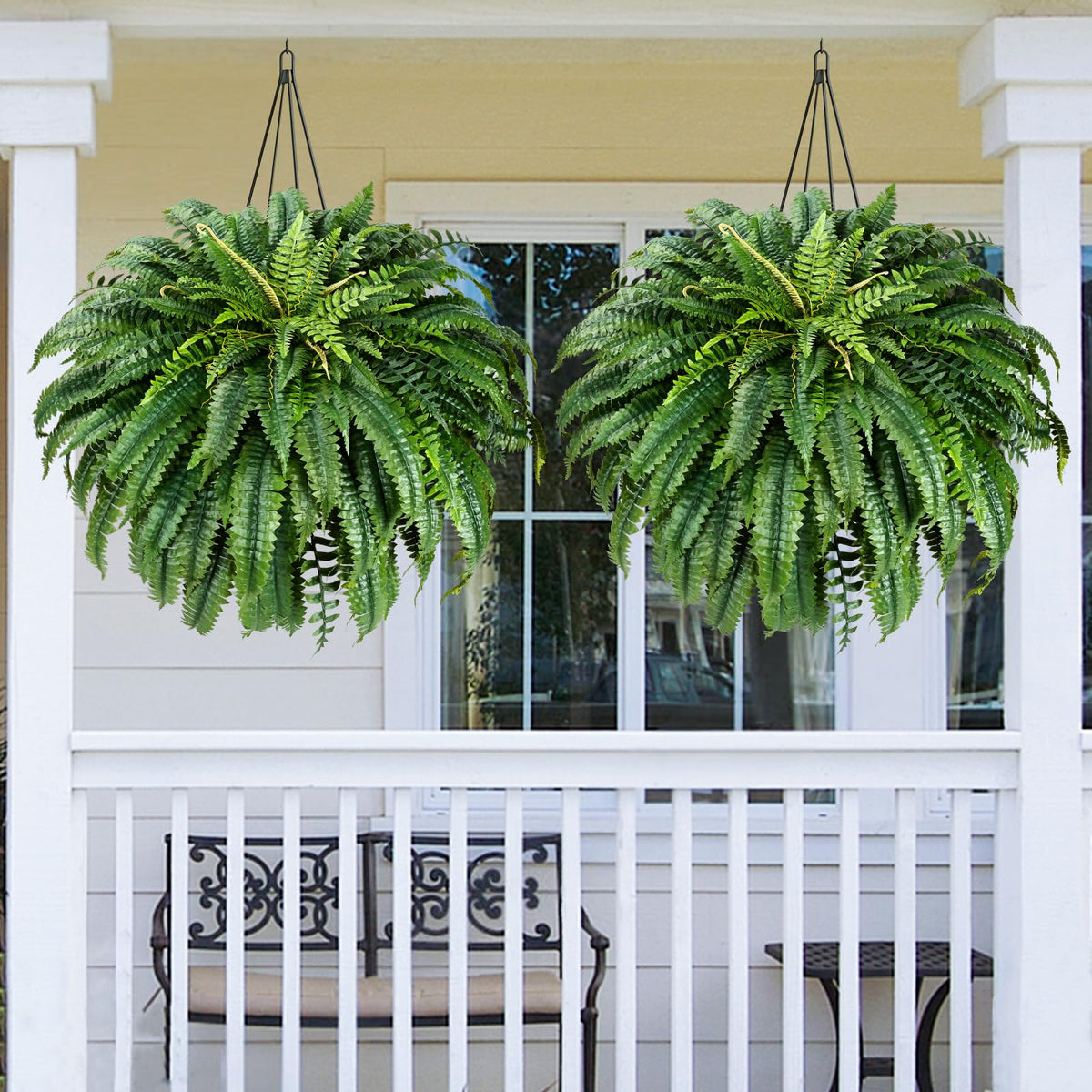 MARTINE MALL hanging-basket fern adds ceiling charm with easy upkeep.