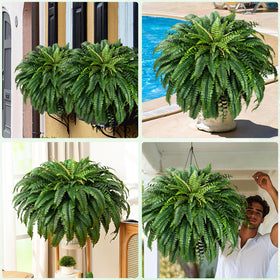 MARTINE MALL porch-balcony fern brings instant greenery to outdoor spaces.