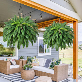 MARTINE MALL porch patio fern for outdoor greenery and style
