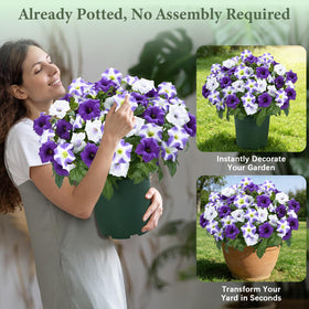 Martine Mall potted outdoor flowers with no-assembly design ready to place.