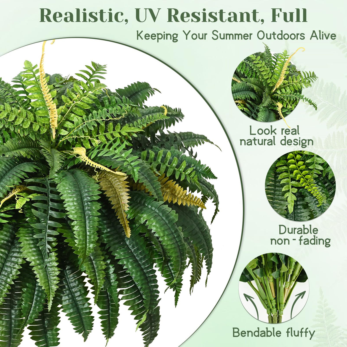 MARTINE MALL UV-resistant fern enjoys sun exposure without fading