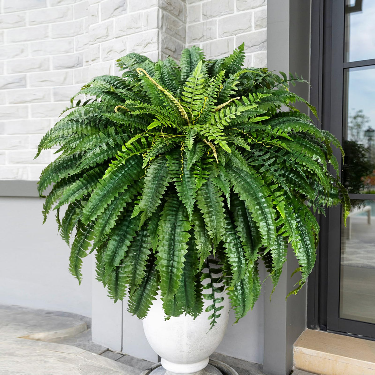 MARTINE MALL XXL Boston fern for outdoor spaces, UV-resistant and durable.