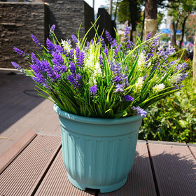 Maxkes 20-bundles lavender set provides cohesive accents across outdoor spaces.