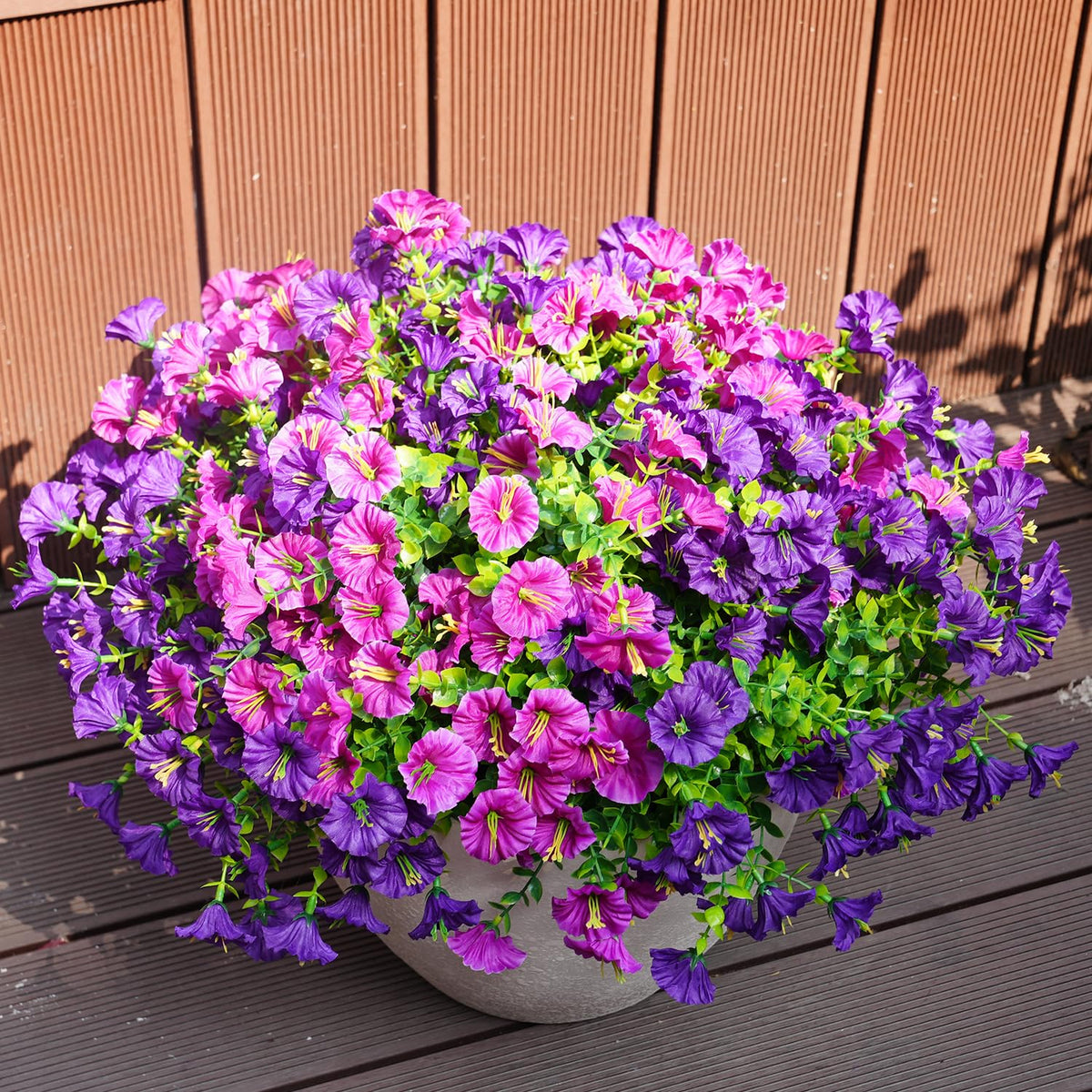 Maxkes morning glory blooms on porch for vibrant outdoor decor