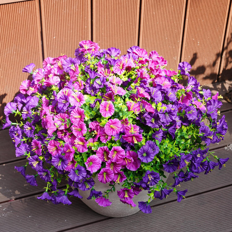 Maxkes morning glory blooms on porch for vibrant outdoor decor