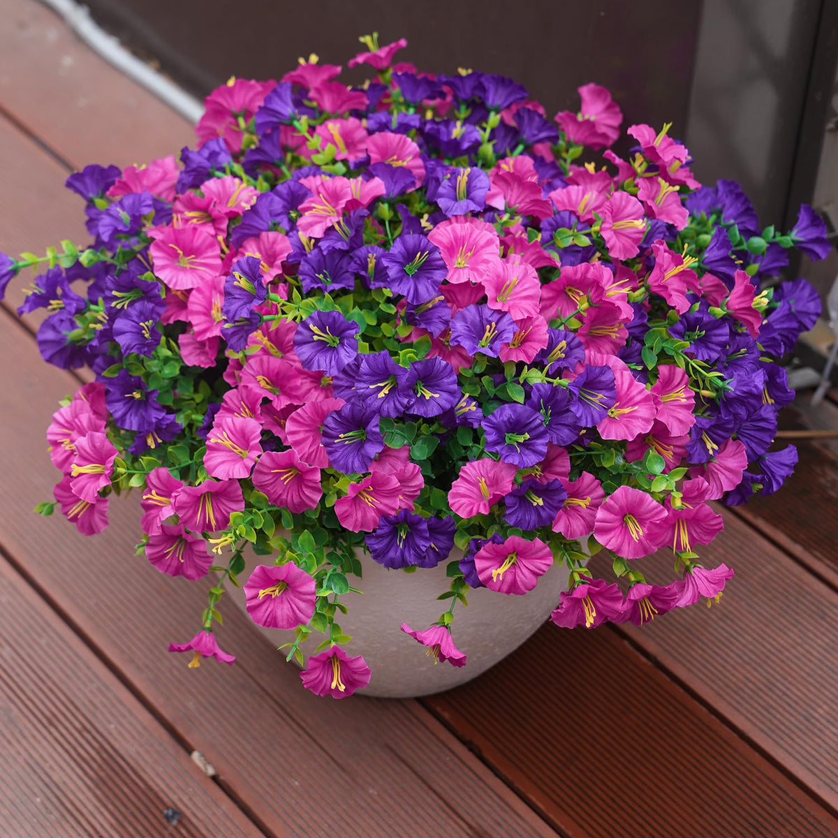 Maxkes non-toxic morning glory blooms for safe outdoor display
