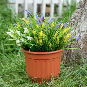 Maxkes lavender bundle garden border row adds color with no upkeep.