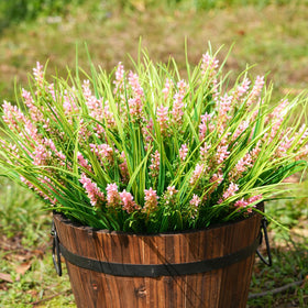 Maxkes lavender for porch decor boosts curb appeal.