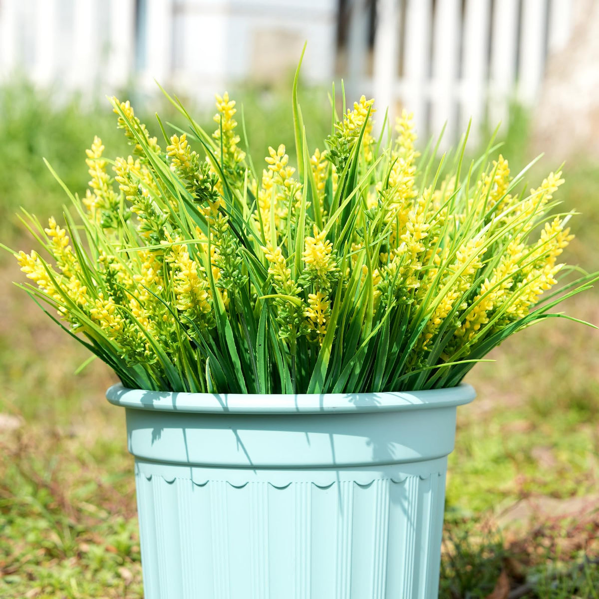 Maxkes lavender shrub pack enhances home decor and curb appeal.