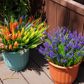 Maxkes outdoor lavender flowers pack for seasonal decorative displays.