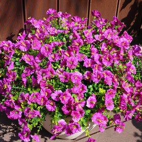 Maxkes porch display of artificial flowers for outdoor decor