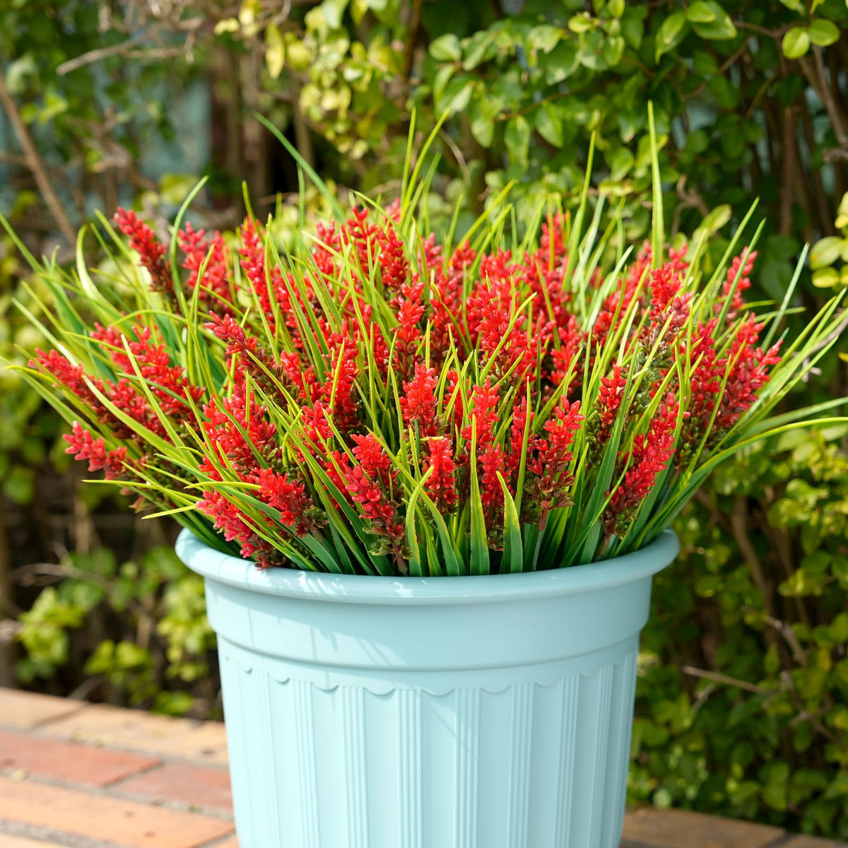 Maxkes realistic lavender shrubs suitable for outdoor spaces year-round.