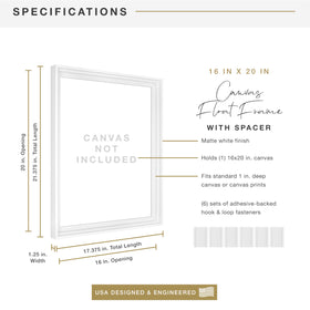 MCS Canvas Float Frame ready to hang with sawtooth hanger for vertical or horizontal display