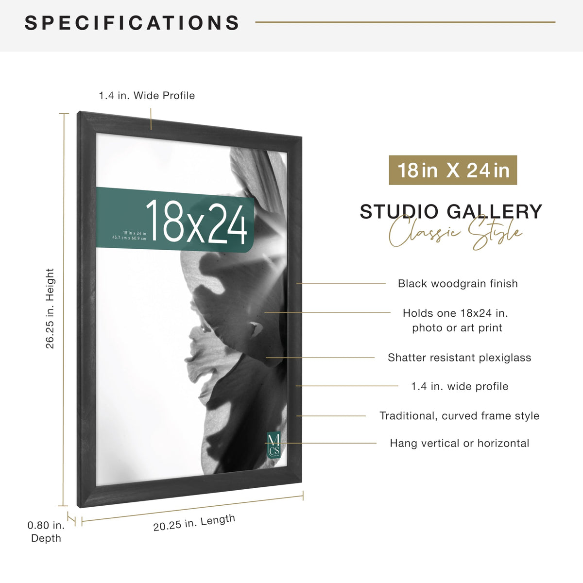 MCS Classic Studio frame plexi front protects photos and preserves clarity